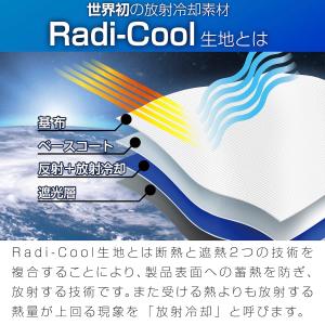 ラディクール生地ハイエース (200系) 専用...の詳細画像5