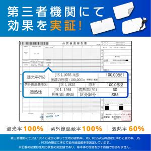 ラディクール生地ノア ヴォクシー (90系) ...の詳細画像4
