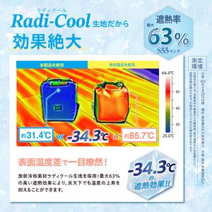 ラディクール生地使用 クーラーバッグ ソフトク...の詳細画像2