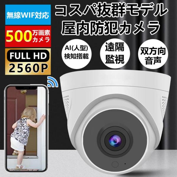 防犯カメラ 屋外 wifi 見守りカメラ ドーム型 屋内 最大500万画素 首振リ 監視カメラ IP...