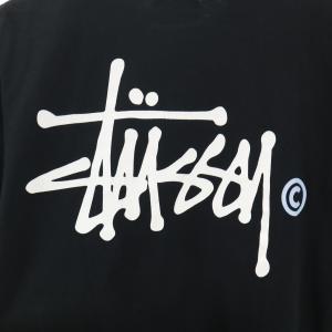 STUSSY ステューシー 半袖 Tシャツ S...の詳細画像3