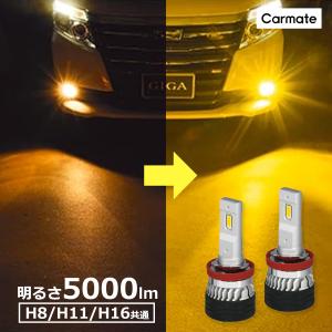 車 LED フォグランプ イエロー光 BW5151 GIGA LEDフォグバルブ F5000S 3000K H8/H11/H16 5000lm 3年間保証 車検対応 giga carmate (P07)