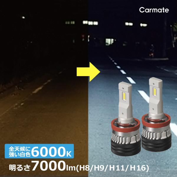 車 LED ヘッド フォグ ライト H8 H9 H11 H16 BW553 GIGA LEDヘッド ...