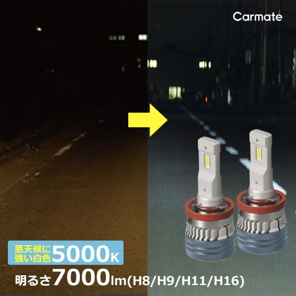 車 LED ヘッド フォグ ライト H8 H9 H11 H16 BW557 LEDヘッド &amp; フォグ...