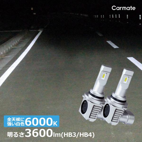 車 LED ヘッドライト LEDヘッドバルブ BW562 GIGA LEDヘッドバルブ C3600 ...