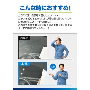 車 内窓 掃除 カーメイト C130 エクスク...の詳細画像2