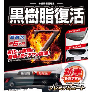 黒樹脂復活剤 6ヶ月耐久 C136 黒樹脂復活...の詳細画像1