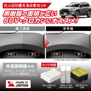 黒樹脂復活剤 6ヶ月耐久 カーメイト C136...の詳細画像3