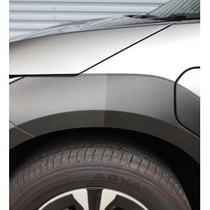 黒樹脂復活剤 6ヶ月耐久 カーメイト C136...の詳細画像4