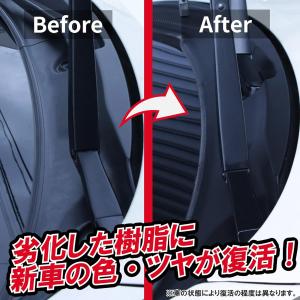 黒樹脂復活剤 6ヶ月耐久 カーメイト C136...の詳細画像1