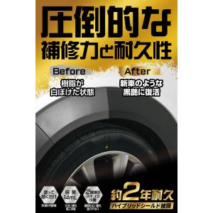 黒樹脂復活剤 約2年耐久 復活王 C198 カ...の詳細画像1