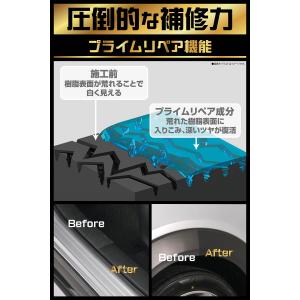 黒樹脂復活剤 約2年耐久 復活王 C198 カ...の詳細画像2