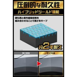 黒樹脂復活剤 約2年耐久 復活王 C198 カ...の詳細画像3