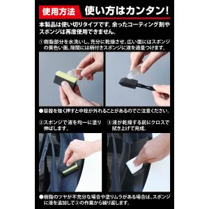 黒樹脂復活剤 約2年耐久 復活王 C198 カ...の詳細画像5