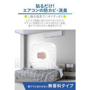 エアコン 防カビ カビ 除菌消臭 カーメイト ...の詳細画像1