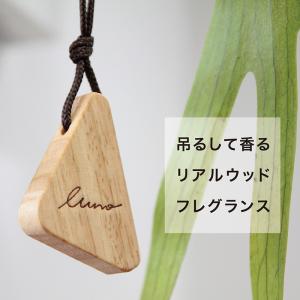 ルームフレグランス 芳香剤 カーメイト DH403 ルーノ