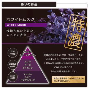 車 芳香剤 ホワイトムスク L10012 × ...の詳細画像2