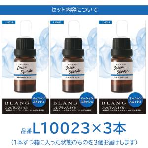車 芳香剤 スカッシュ 3本セット L1002...の詳細画像2