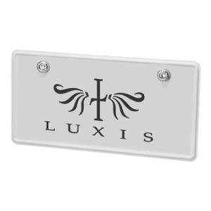 カーメイト LS416 LUXIS セキュリテ...の詳細画像2