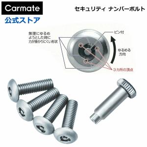 カーメイト LS421 セキュリティナンバーボルト2 ナンバープレート ボルト 特殊形状ボルト 盗難防止 carmate (P07)｜carmate