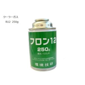 エアコンガス 冷媒用 R12 250g缶 カーエアコン フロンガス エアコンガス 冷媒用 R12 250g缶 カーエアコン フロンガス