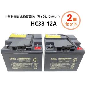 【2個セット】エナジーウィズ Tuflong 小型制御弁式鉛蓄電池(サイクルバッテリー) HC38-12A｜carmeister