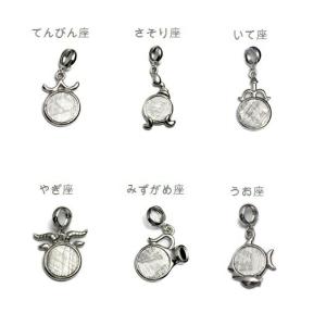 星座 12星座 ペンダント ギベオン 隕石 お...の詳細画像1