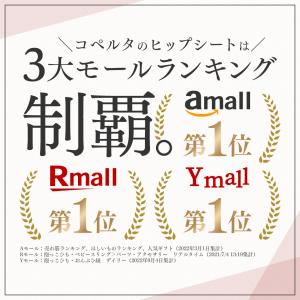 ヒップシート コペルタ 抱っこ紐 20kg 収...の詳細画像2