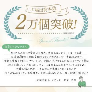ヒップシート コペルタ 抱っこ紐 20kg 収...の詳細画像3