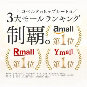 ヒップシート コペルタ 抱っこ紐 20kg 収...の詳細画像3