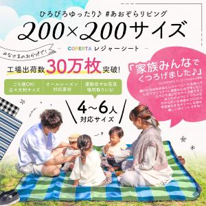 レジャーシート 厚手 洗える 肩掛け 200×...の詳細画像4