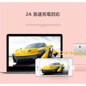 【毎日限定10点】iPhone 充電ケーブル ...の詳細画像2