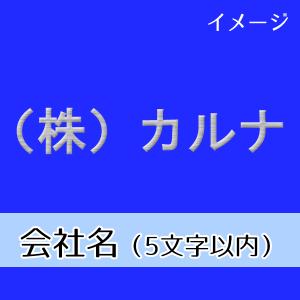 ネーム刺繍　会社名（5文字以内・日本語/英語混在可）｜carnalead