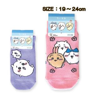 ソックス くつした ちいかわ のびる 子供 キッズ 19〜24cm 靴下 パープル ピンク 幼稚園 小学生 メッシュ編み 名前欄付 メール便｜carol-netstore