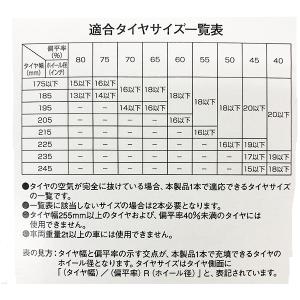 PITWORK ピットワーク タイヤパンク応急...の詳細画像3