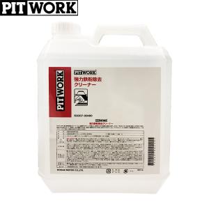 PITWORK ピットワーク エバポレーター 洗浄・抗菌剤 6ヶ月 60ml