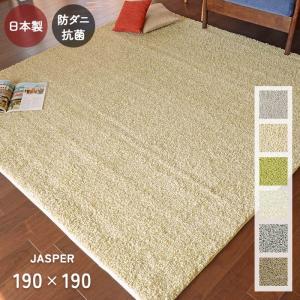 HAGiHARA（萩原） ラグ ジャスト 190×240 cm 日本製 抗ウイルス 消臭