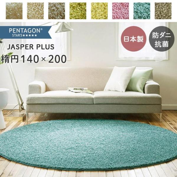 ラグ ジャスパー PLUS 楕円 140×200 cm 洗える 日本製 プレーベル製 シャギー ペン...