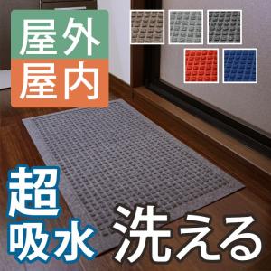 クリーンテックス・ジャパン 玄関マット ウォーターホース 62×88 cm