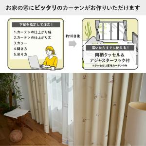 イージー オーダーカーテン ベストフォーメーシ...の詳細画像1