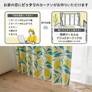 イージー オーダーカーテン キャンプレモン P...の詳細画像1