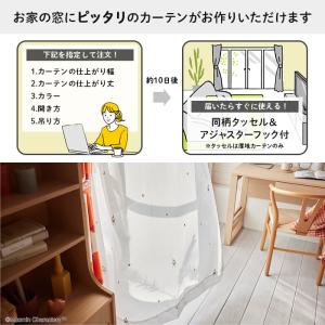 イージー オーダーレースカーテン リンゴガブリ...の詳細画像1
