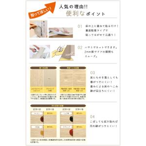 【東リ】【サンプル無料】【賃貸OK】 LAYフ...の詳細画像3