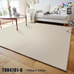 東リ（TOLI） ラグ TOR4901 120cm×180cm 森の中にいるかのような雰囲気