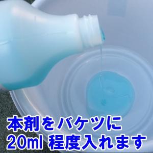 超濃厚 カーシャンプー 大容量 1000ml ...の詳細画像1