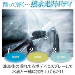 イージーグラスコート 500ml 簡単 超撥水...の詳細画像2