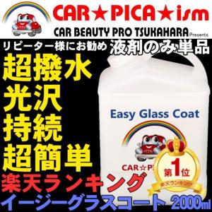 イージーグラスコート 1000ml 液剤のみ 瞬間超撥水 ガラスコーティング