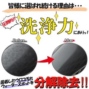 ステイン&スケールクリーナー 200ml(酸性...の詳細画像3