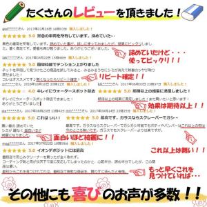 ステイン&スケールクリーナー 200ml(酸性...の詳細画像5