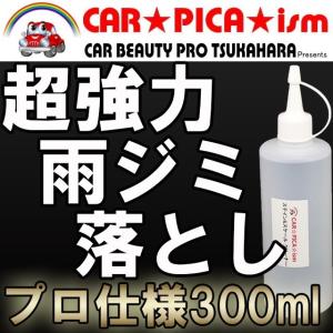 プロヴァイド PROVIDE 黒ずみスケール除去剤 PVD-A06 80ml 刷毛付き 車